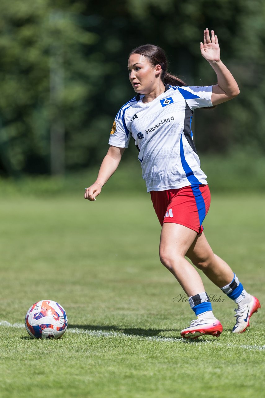 Bild 196 - wBJ Hamburger SV - VfL Wolfsburg : Ergebnis: 5:1